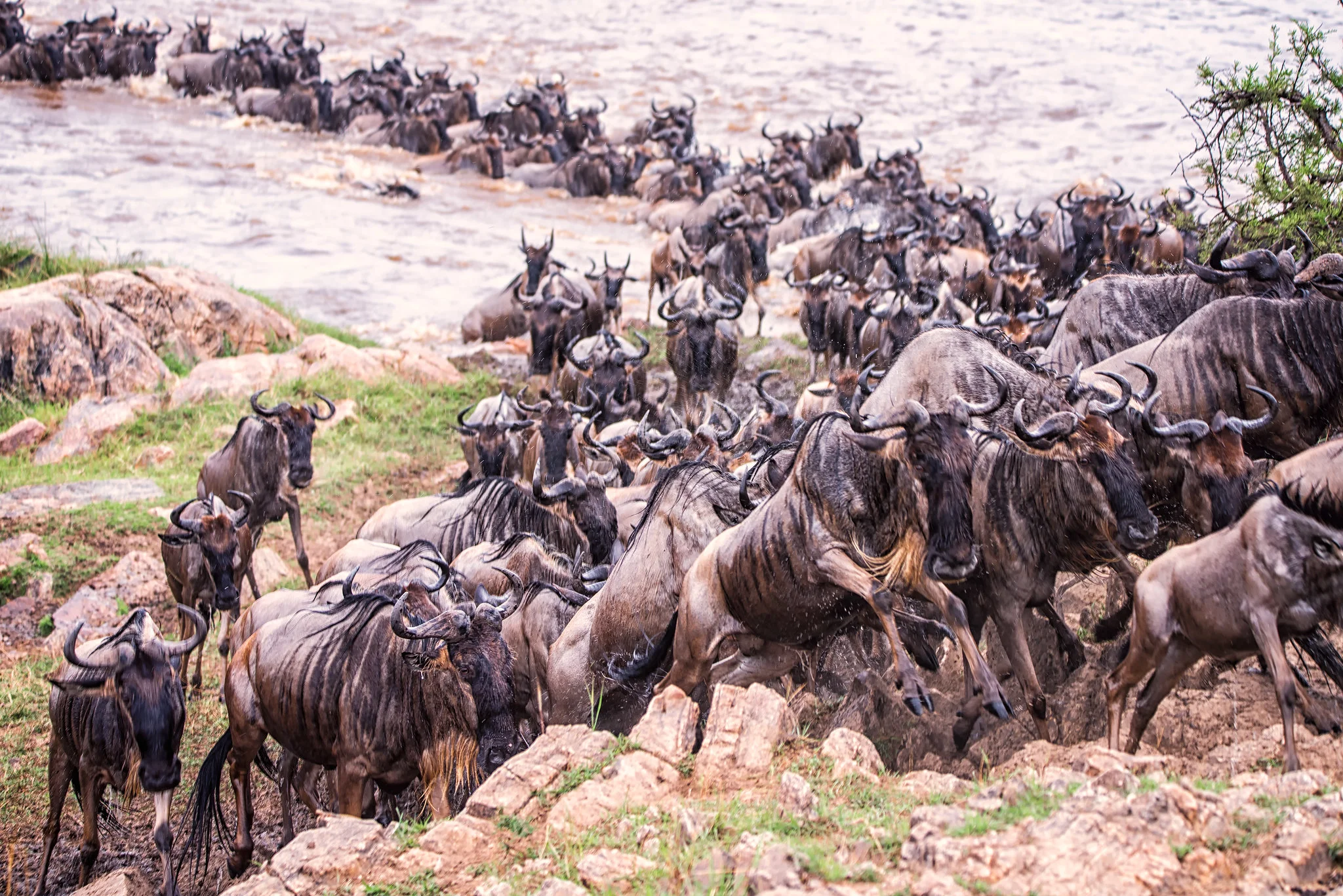 7 Days Serengeti Balloon Safari